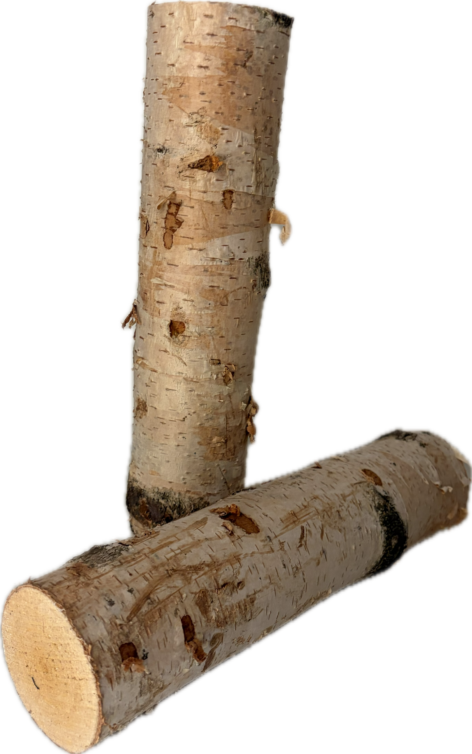 Birkenstamm Natur - 30cm