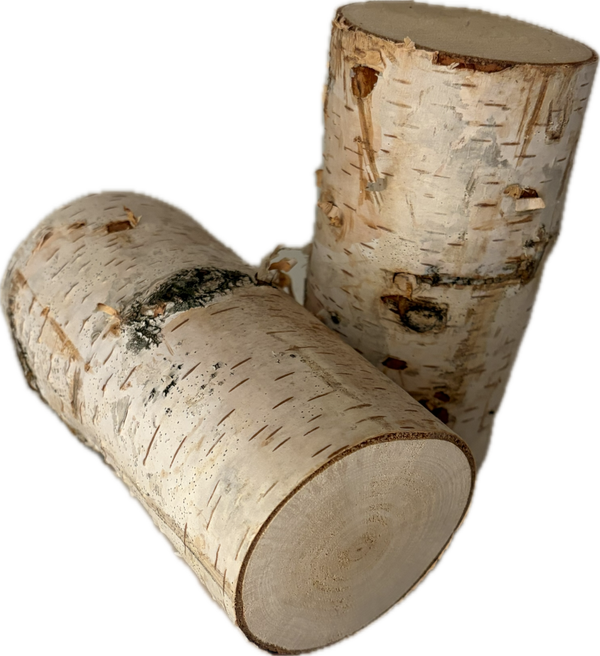 Birkenstamm Natur - 15cm