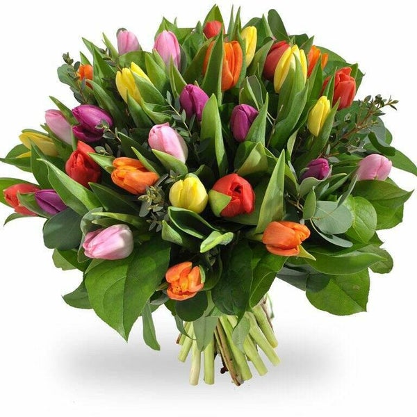 Tulpen boeket