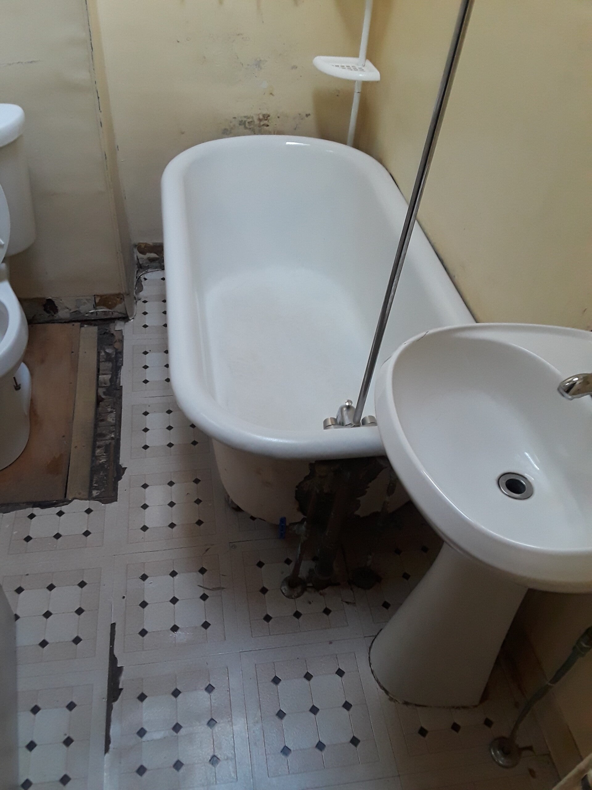 1000000783-standard.jpg