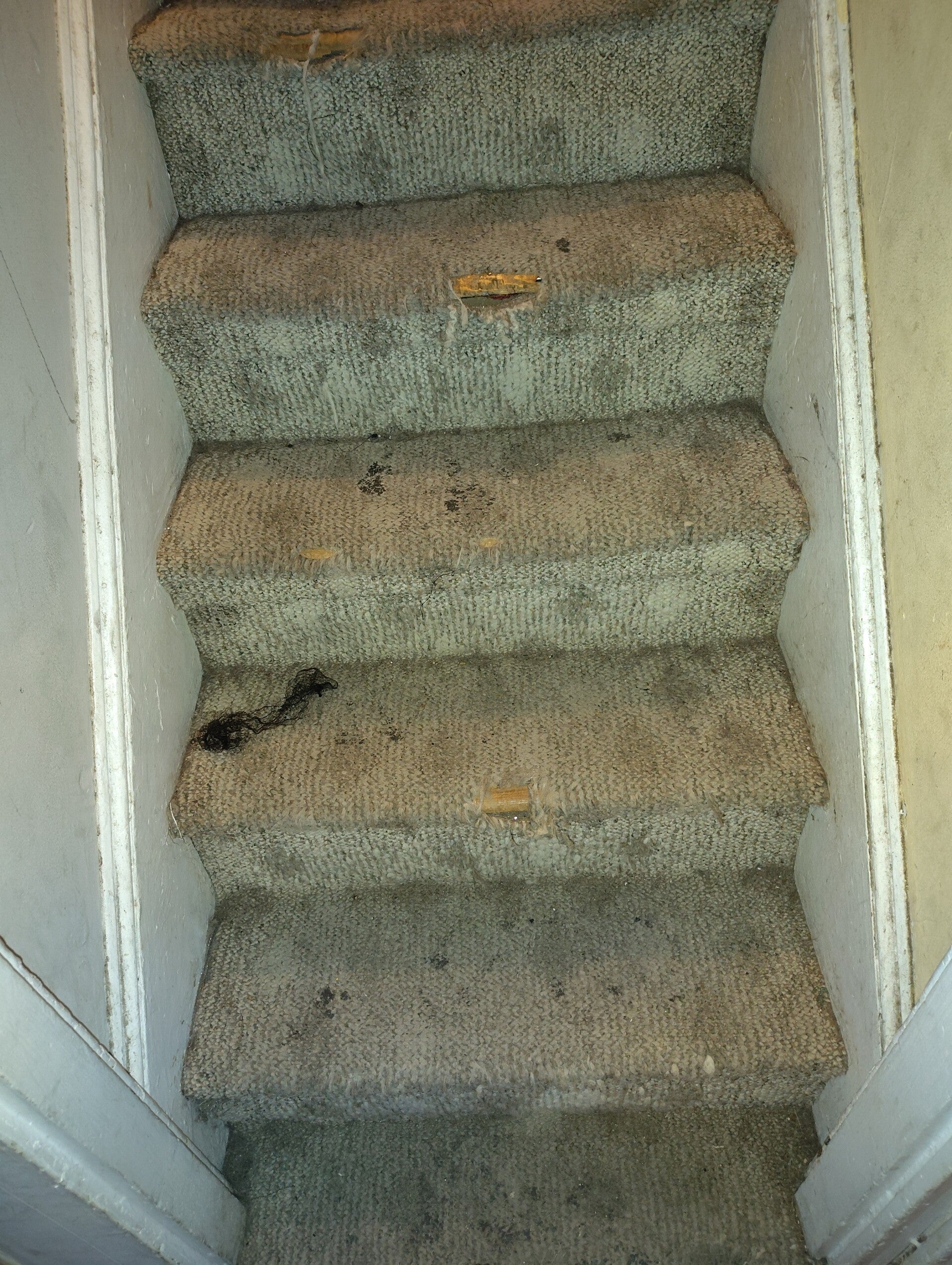 1000002490-standard.jpg