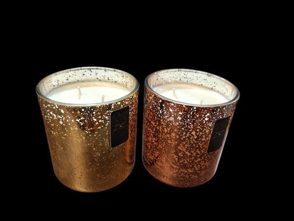 Bougie 350g 2 mèches