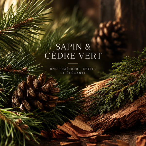 Sachet de 4 fondants sapin et Cèdre vert