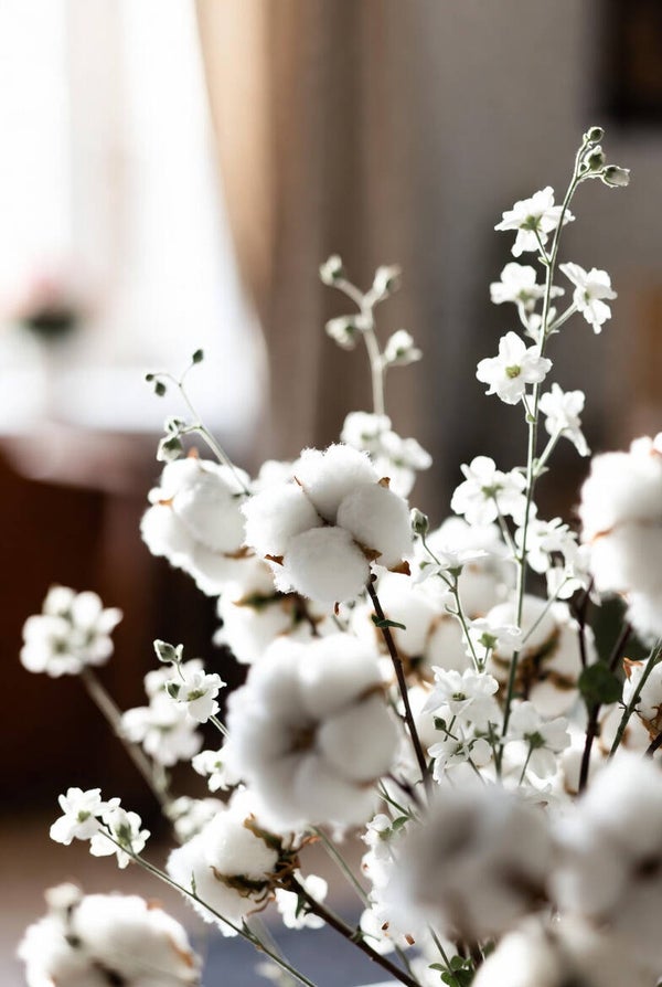 Sachet de 4 fondants fleur de coton et musc blanc