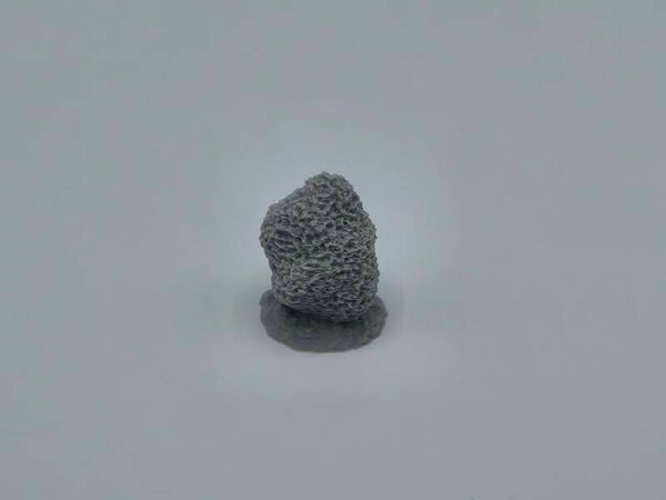 COCR-KN-017-Shrub Small