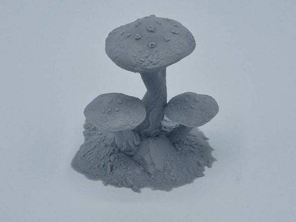 Fungalwood-003-Cluster 3
