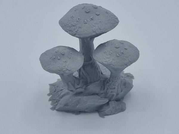 Fungalwood-012-Cluster 12