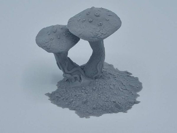 Fungalwood-019-Cluster 19