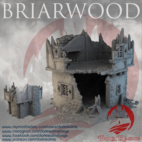 Briarwood-017-House 1 Ruin