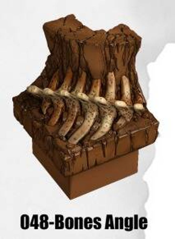 LC-048-Bones Angle