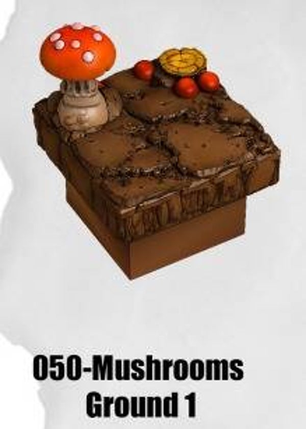LC-050-Mushrooms Ground 1