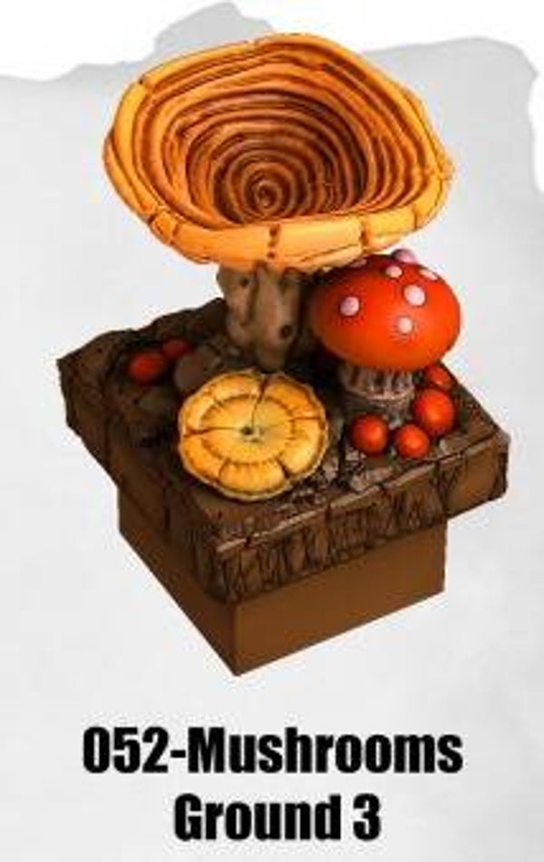 LC-052-Mushrooms Ground 3