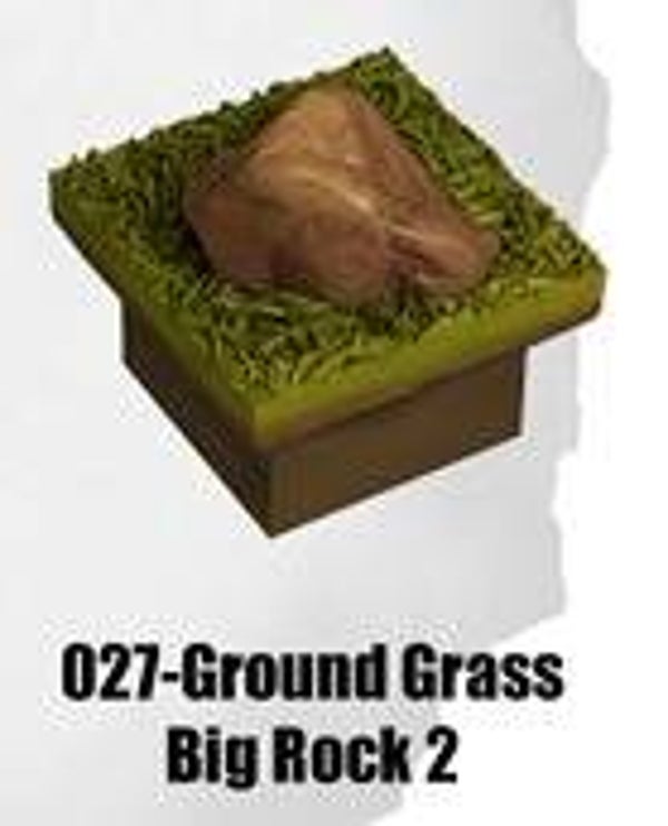 RR-027-Ground Grass Big Rock 2