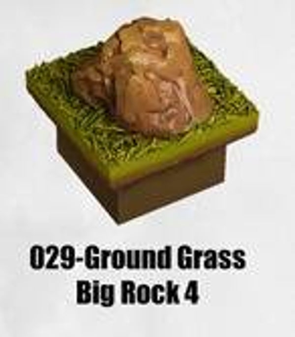 RR-029-Ground Grass Big Rock 4
