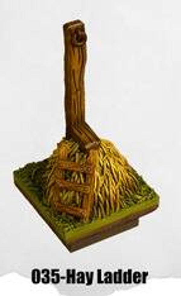 RR-035-Hay Ladder