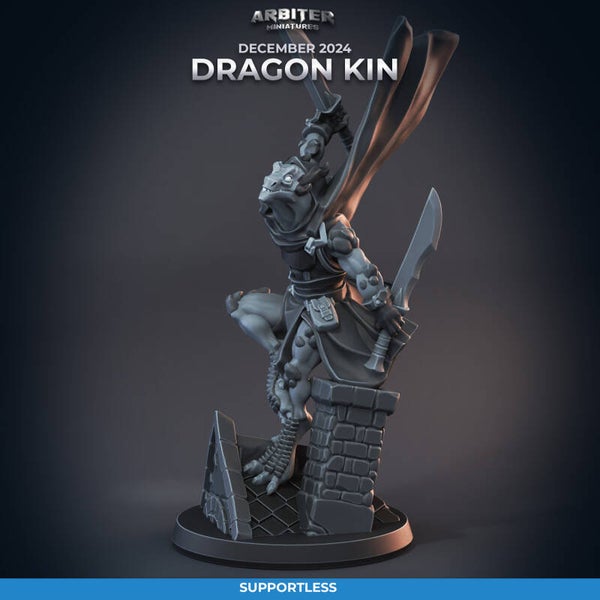 ARMI-M2412-03-Dragon Kin Rogue Female