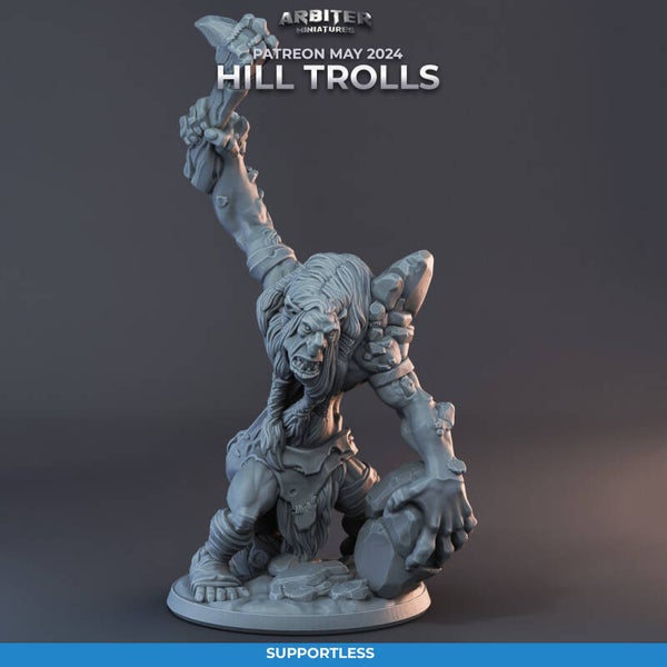 ARMI-M2405-01-Troll 01