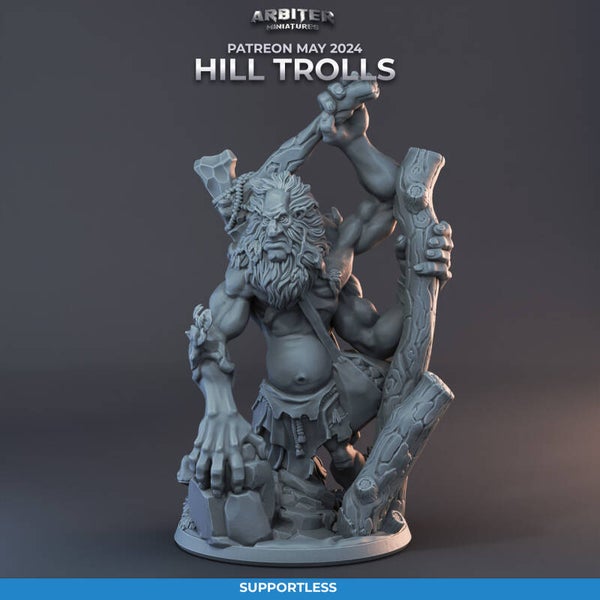 ARMI-M2405-02-Troll 02