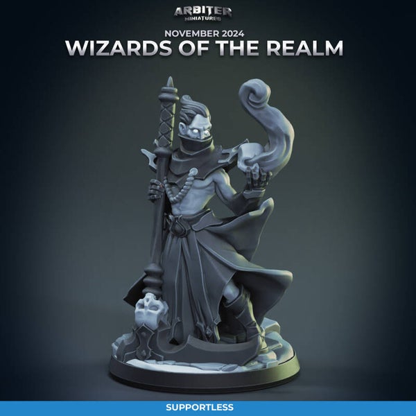 ARMI-M2411-03-Wizard Male 01