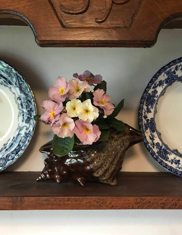 Vintage Shell Planter, Conch Shell Plant Pot