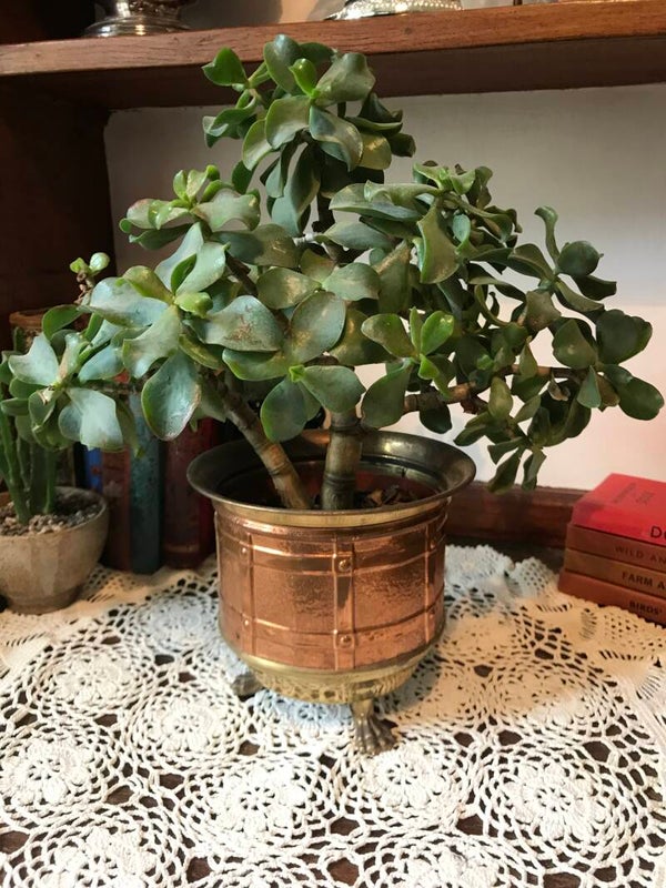 Brass & Copper Footed Planter