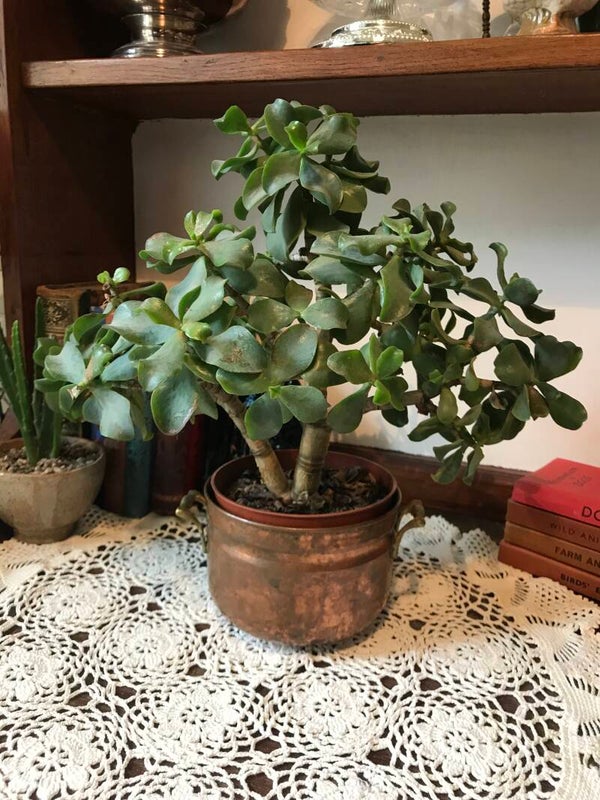 Vintage Hammered Copper Planter