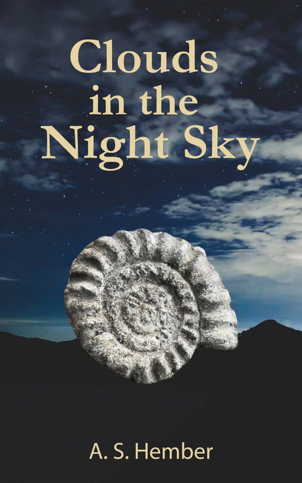 Clouds in the Night Sky