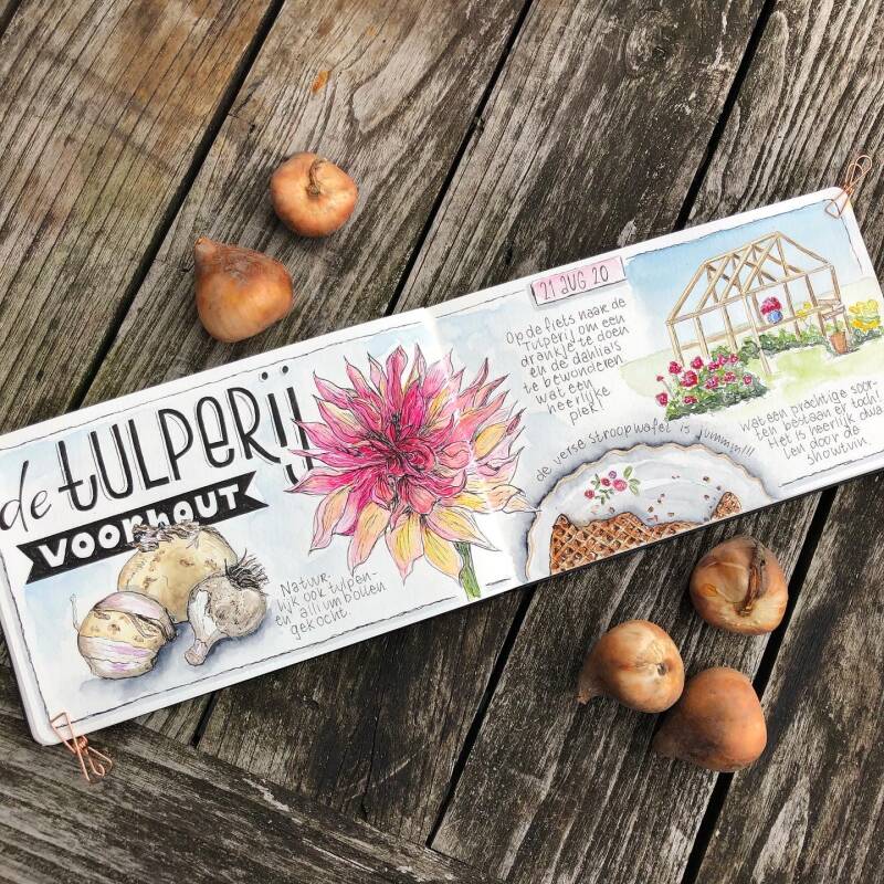 waterverf workshop illustratie