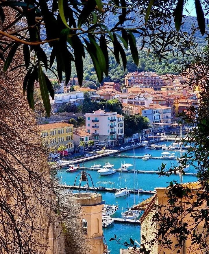 porto ercole visto da dietro un albero di ulivo. vista porto con case e abitazioni, barche