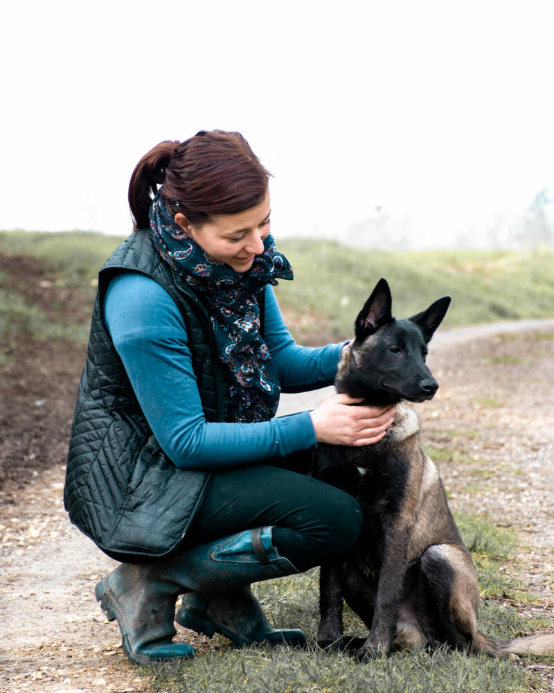 Gérante, propriétaire, écurie privée, médiation animale, domaine des perrières