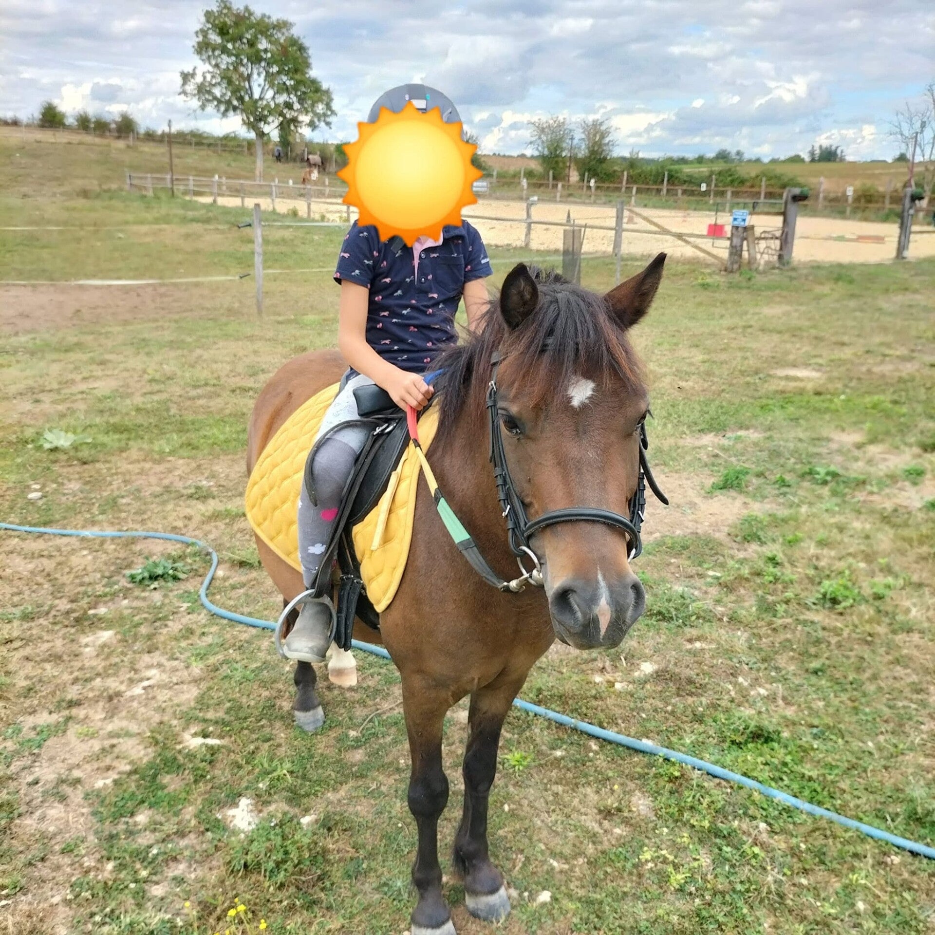 Ecurie chevaux, médiation animale, ateliers enfants, ateliers ludiques, jeux, privée, Bourges, Villabon