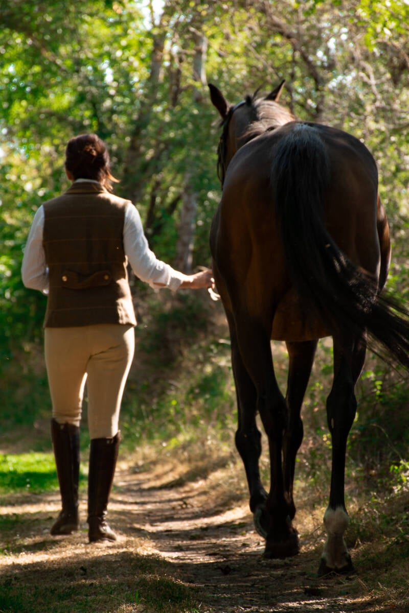 Gérante, propriétaire, écurie privée, médiation animale, domaine des perrières