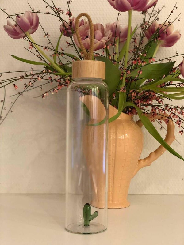 Glass bottle cactus