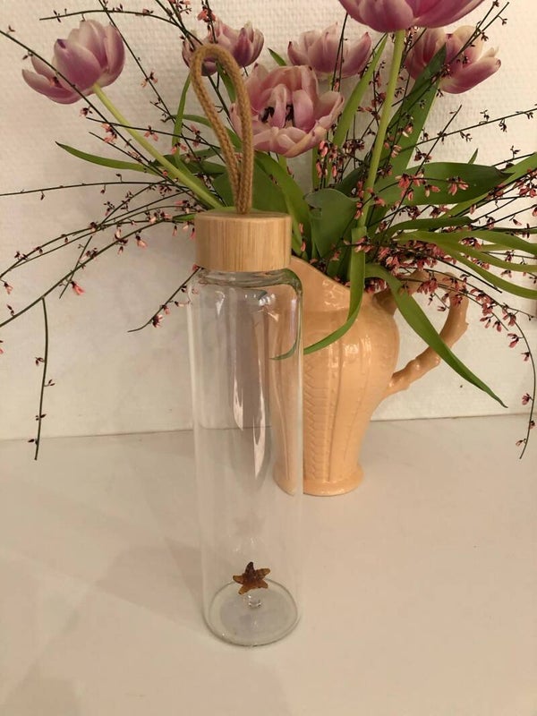 Glass bottle zeester