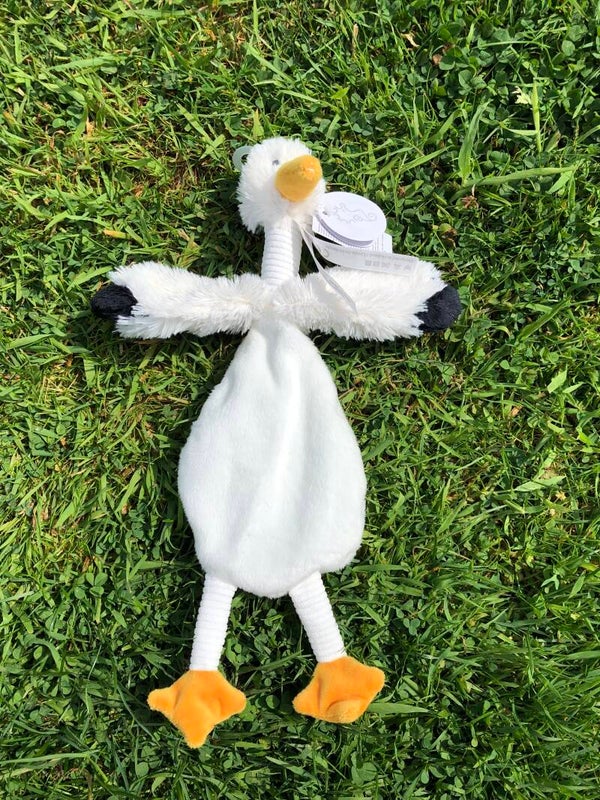 Stork Sky Tuttle