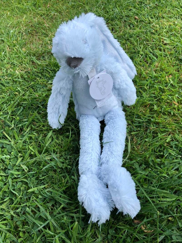 Tiny Blue Rabbit Ritchie
