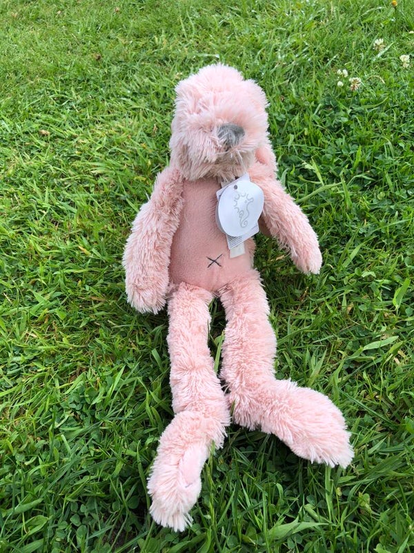Tiny Old Pink Rabbit Richie