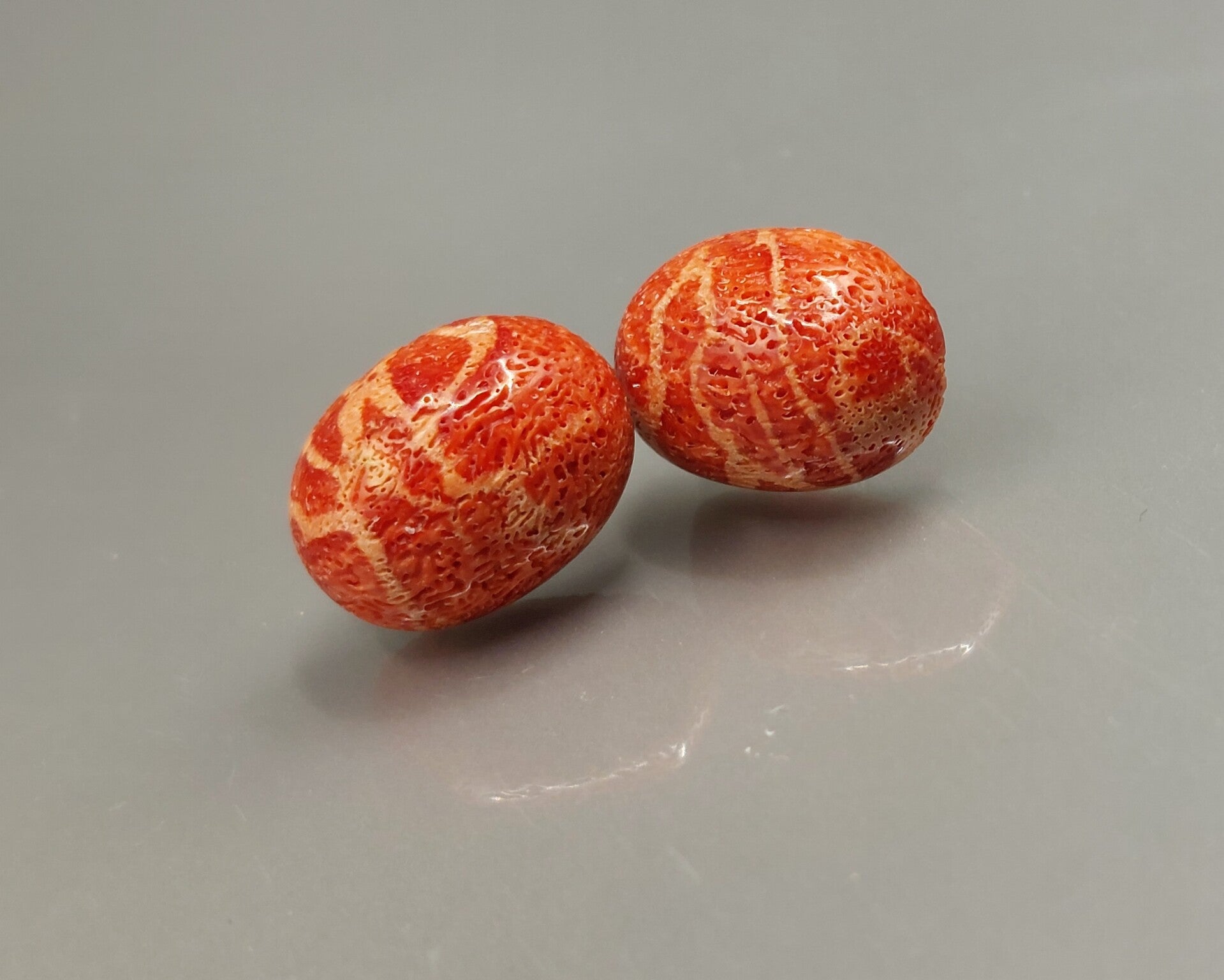 Oorstekers schuimkoraal