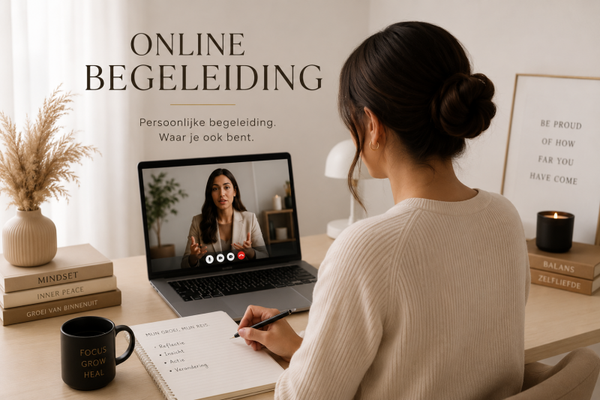 Begeleidingstraject online