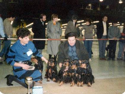 lot-d-elevage-angers-1986-web-standard-x49lpg.jpg