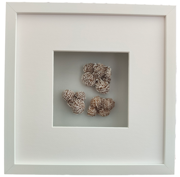 ART 25cmx25cm Witte lijst met Woestijnroosjes