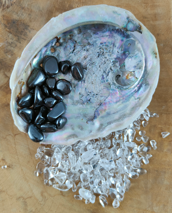 Abalone schelp oplaad set voor Armbandjes