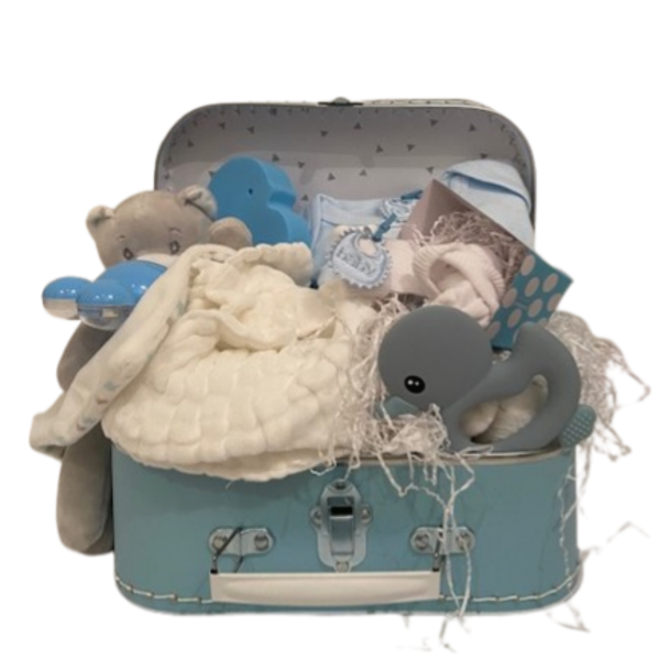 Pampertaart KOFFER (blauw)