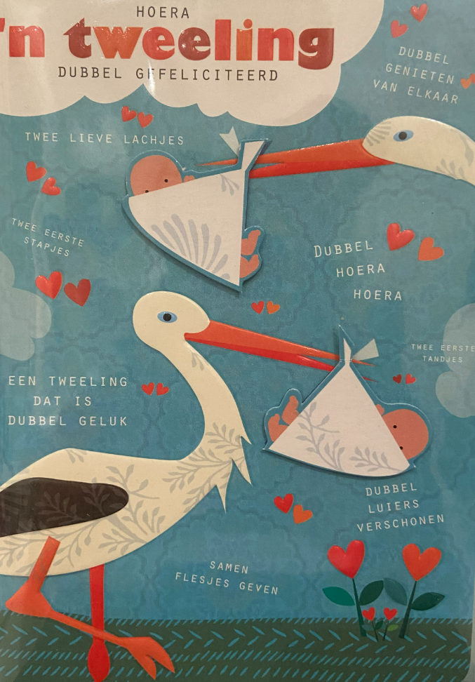 Wenskaart "Hoera tweeling"