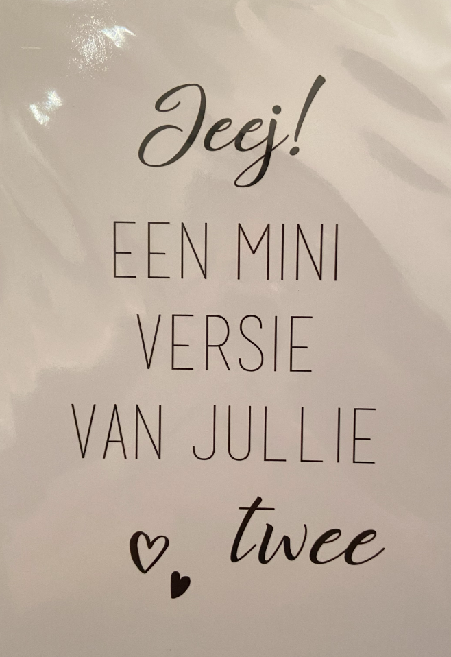 Wenskaart "Een mini versie van jullie twee"