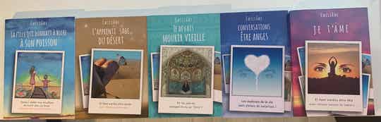 LOT 5 LIVRES OCCASION EMILIAME