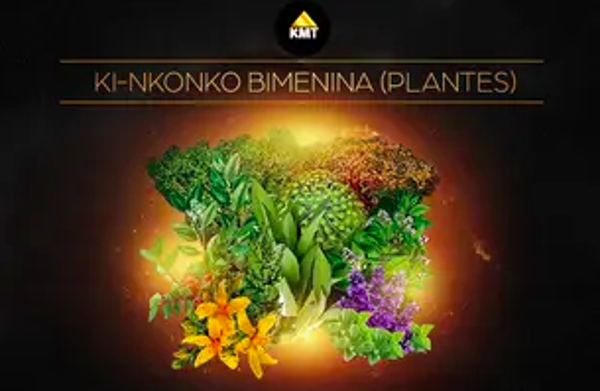 Soin Bimemina ( plantes médicinales )