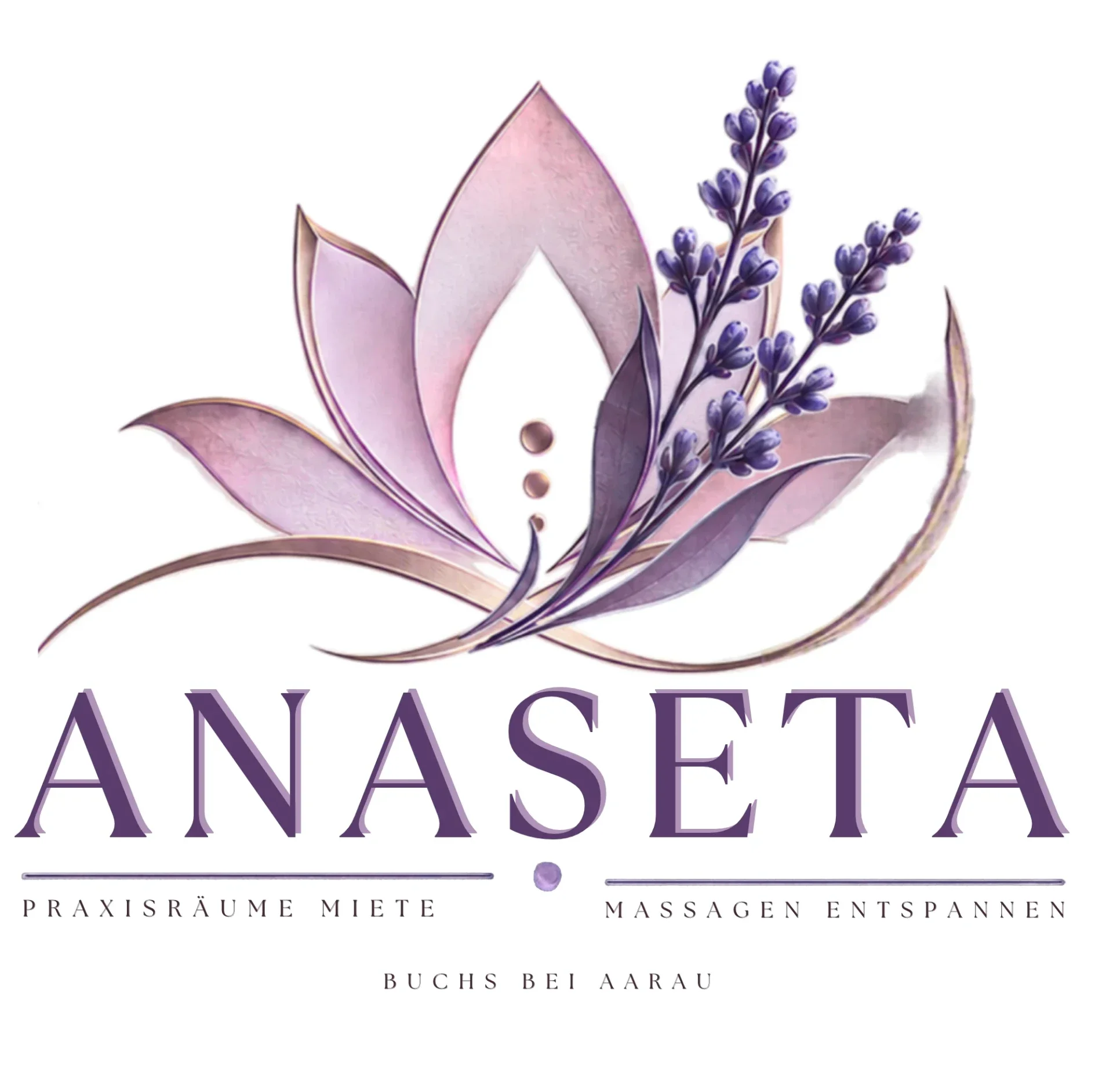 anaseta_praxis_rau_workshop_miete_event_lokal_massagen_loslassen_entspannen_auftanken_buchs_aargau