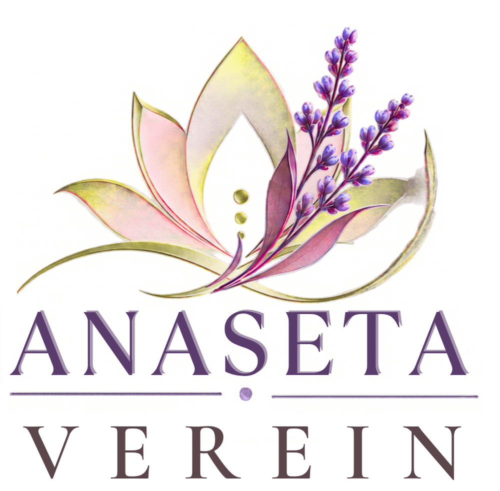 Berater_Coach_Anaseta_anktuelle_Anbieter_Aufstellung_anaseta.ch