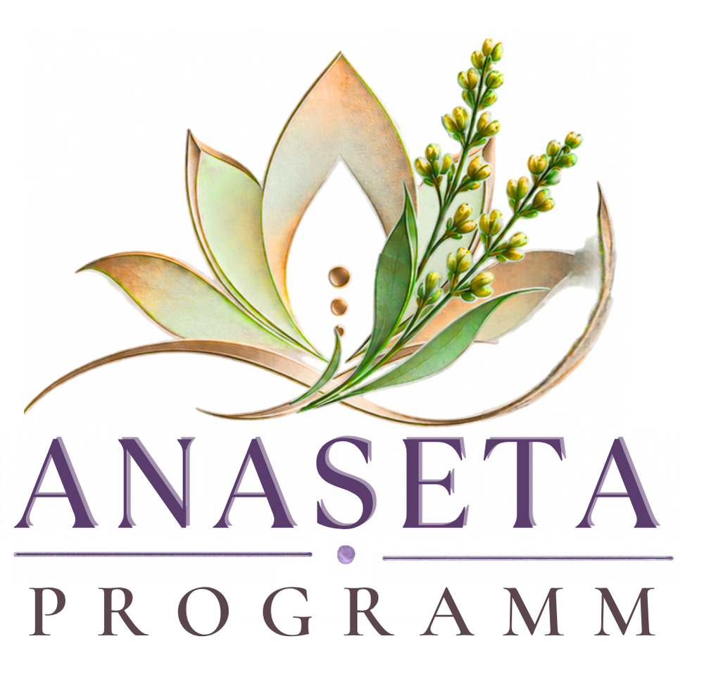 Programm_Anaseta_Anbieter_Workshop_Kurse_Veranstaltungen_aktuell